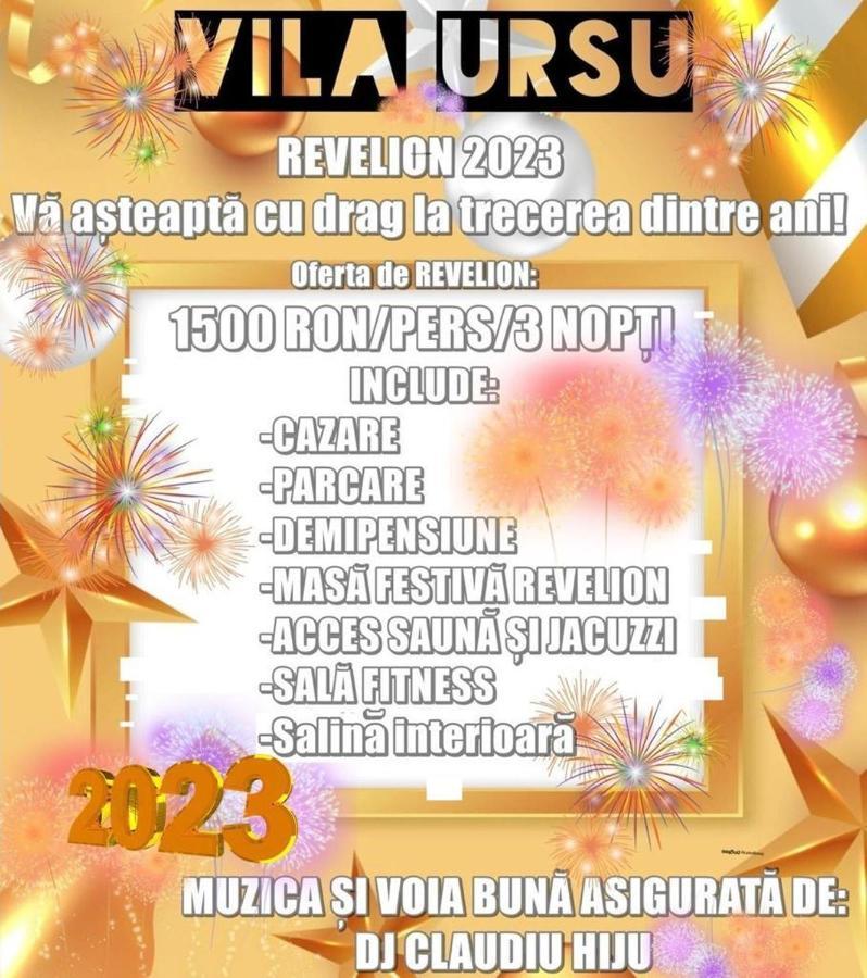 Vila Ursu Din Sovata Bai Екстериор снимка